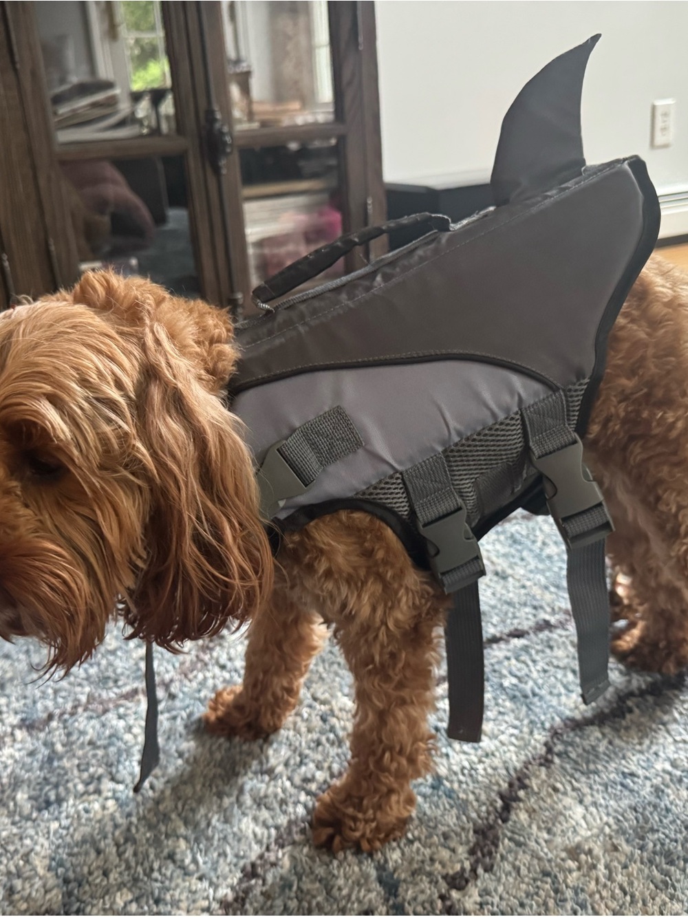 Shark Fin Dog Life Jacket | Adjustable Dog Swim Vest- like NEW